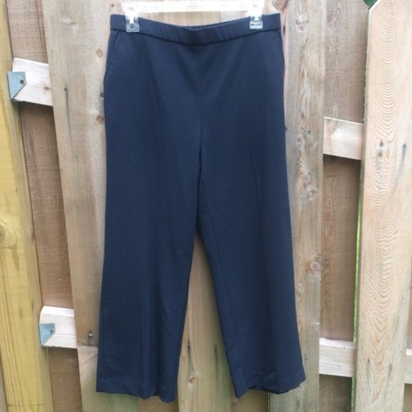Navy Blue Stretch Pants - Petite Size 10 - Picture 1 of 7